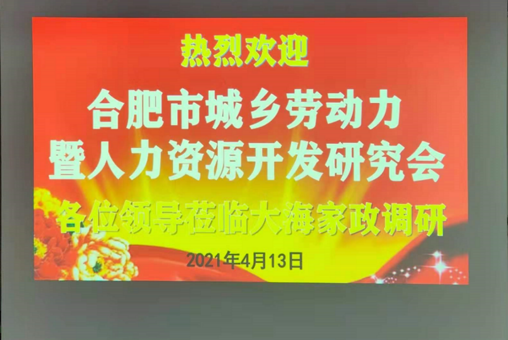 合肥市城鄉(xiāng)勞動(dòng)力暨人力資源開發(fā)研究會(huì)領(lǐng)導(dǎo)專家蒞臨大海座談?wù){(diào)研